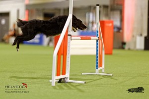 1T0A4641_DxO