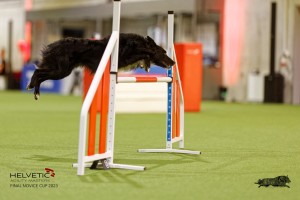 1T0A4642_DxO
