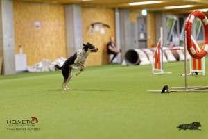 1T0A4722_DxO