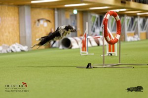 1T0A4725_DxO