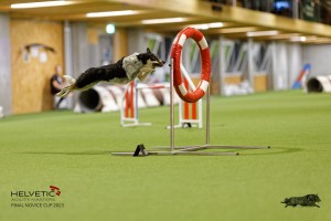 1T0A4727_DxO