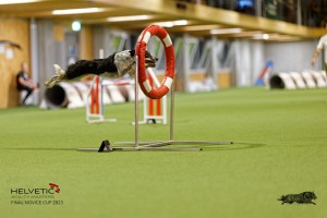 1T0A4728_DxO