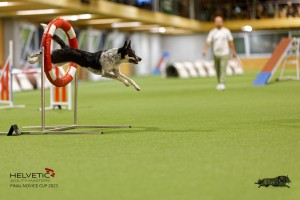 1T0A4731_DxO