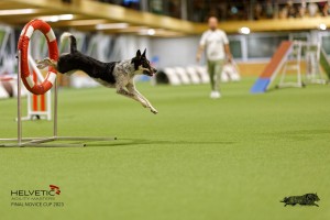 1T0A4732_DxO