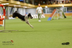 1T0A4733_DxO