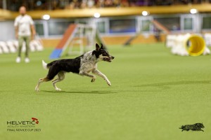 1T0A4738_DxO