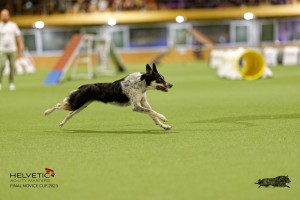 1T0A4739_DxO