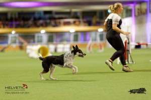 1T0A4744_DxO