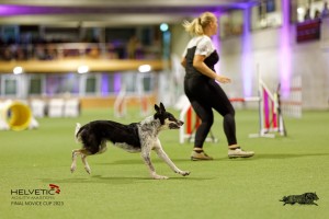 1T0A4746_DxO