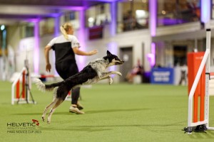 1T0A4751_DxO