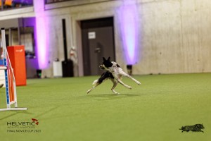 1T0A4800_DxO