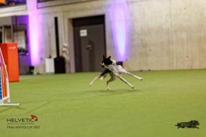 1T0A4801_DxO