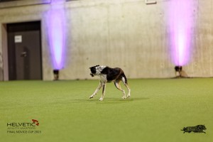 1T0A4802_DxO