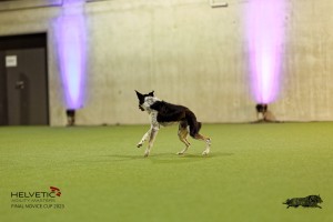 1T0A4803_DxO