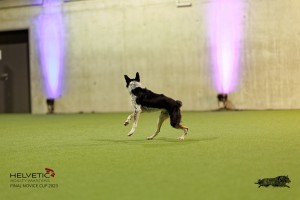 1T0A4804_DxO