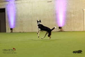 1T0A4805_DxO