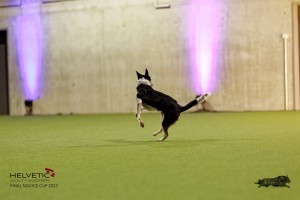 1T0A4806_DxO