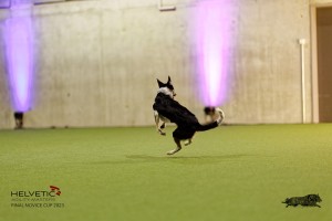 1T0A4807_DxO
