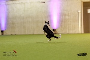 1T0A4808_DxO