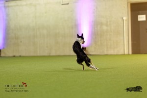 1T0A4809_DxO