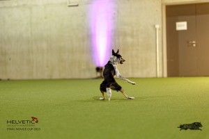 1T0A4811_DxO