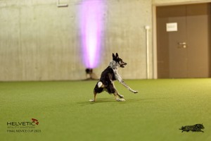 1T0A4812_DxO