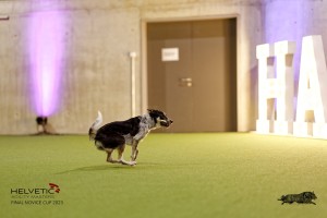 1T0A4814_DxO