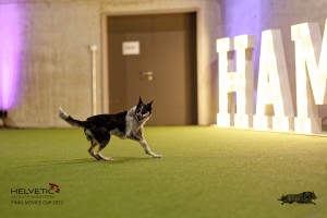 1T0A4817_DxO