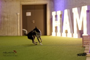 1T0A4822_DxO