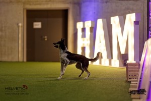 1T0A4831_DxO