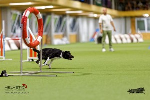 1T0A4846_DxO