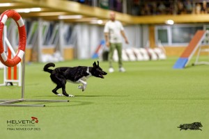 1T0A4848_DxO