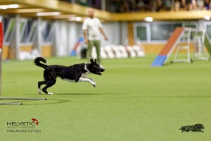 1T0A4849_DxO