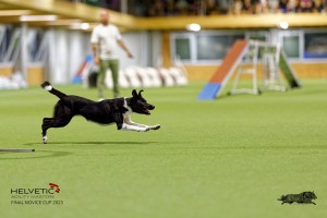 1T0A4850_DxO