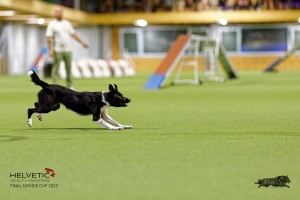 1T0A4851_DxO
