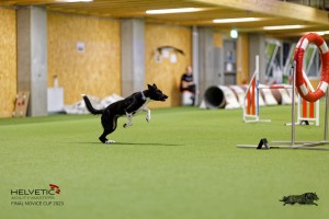 1T0A4866_DxO