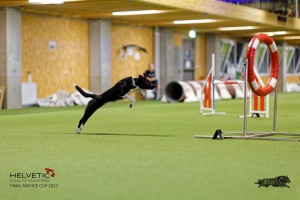 1T0A4867_DxO