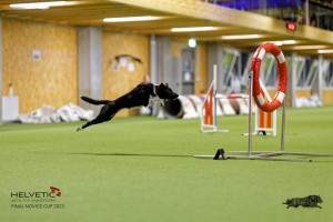 1T0A4868_DxO