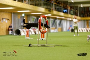 1T0A4872_DxO