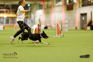 1T0A4886_DxO