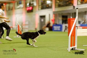 1T0A4891_DxO