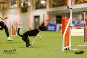 1T0A4892_DxO