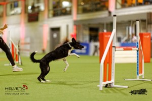 1T0A4893_DxO
