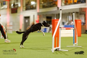 1T0A4894_DxO