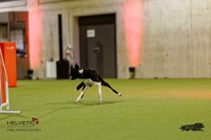 1T0A4938_DxO