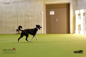 1T0A4949_DxO