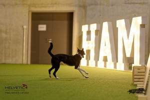 1T0A4953_DxO