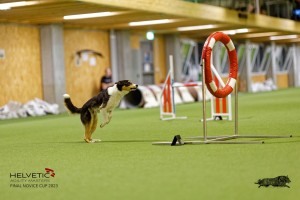 1T0A4968_DxO
