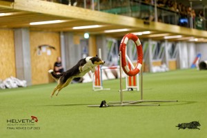 1T0A4970_DxO