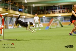 1T0A4978_DxO